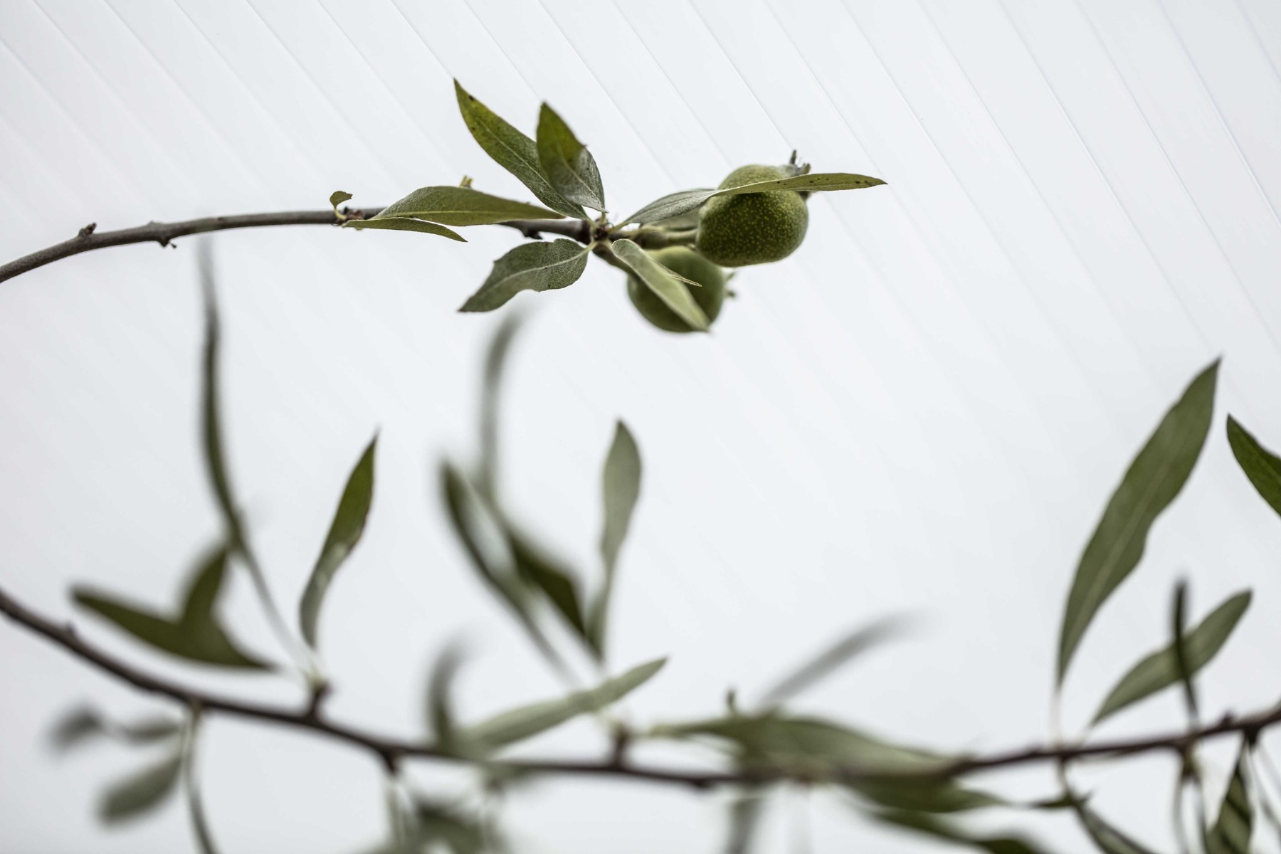 Multiglas Komplet Termotag 32mm opalhvid L: 4000 mm x B: 2095 mm - Image 2